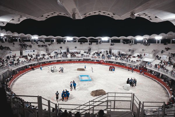 Boutique Diet Sport Energy